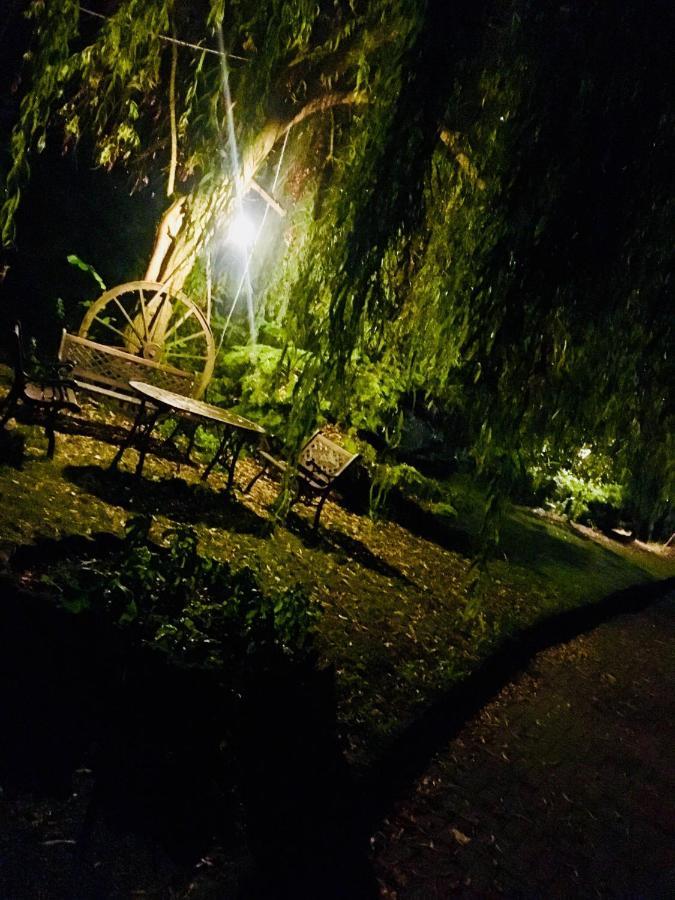 Rossella Alla Villarella Dei Tulipani Asti Buitenkant foto