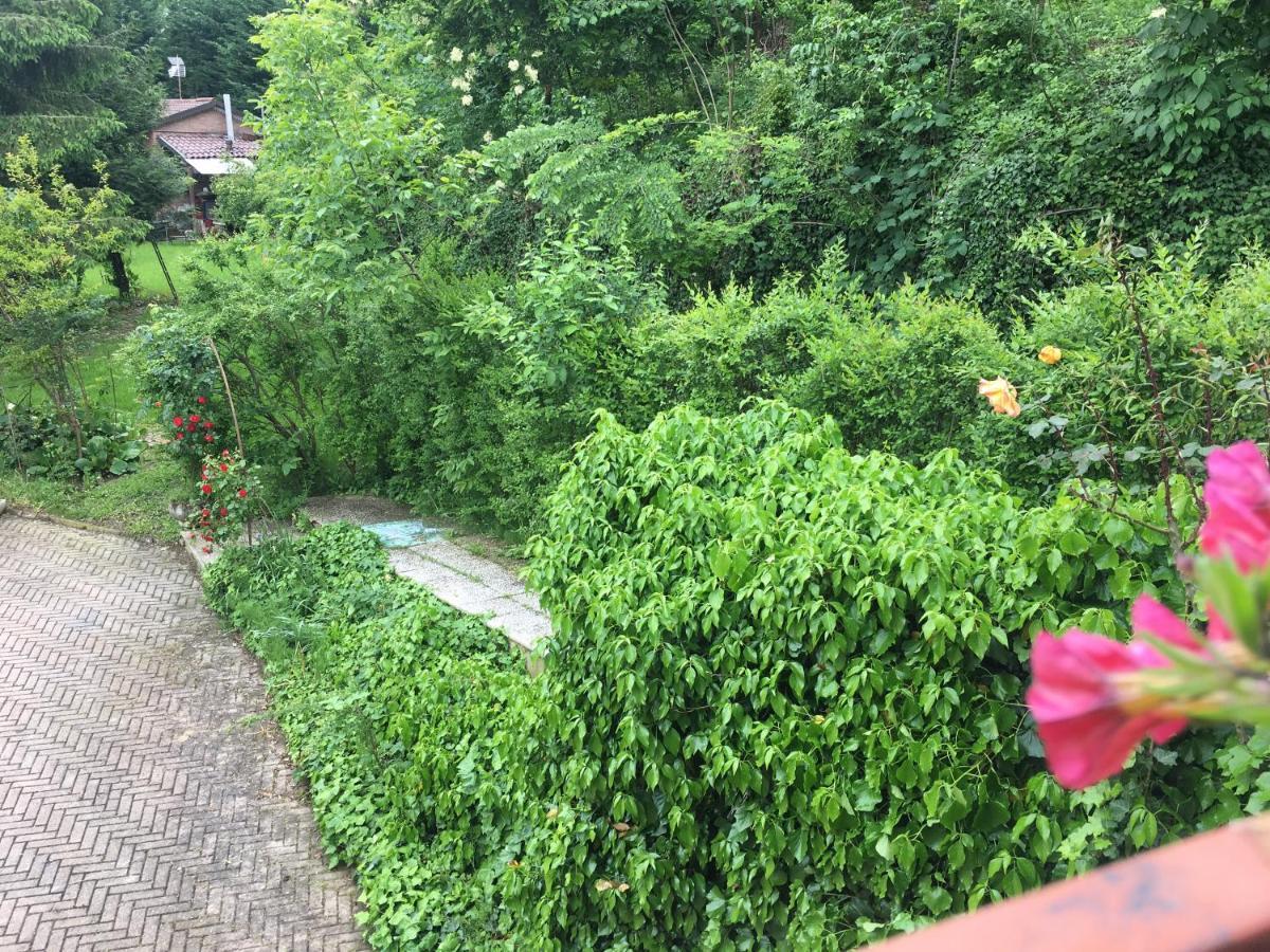 Rossella Alla Villarella Dei Tulipani Asti Buitenkant foto